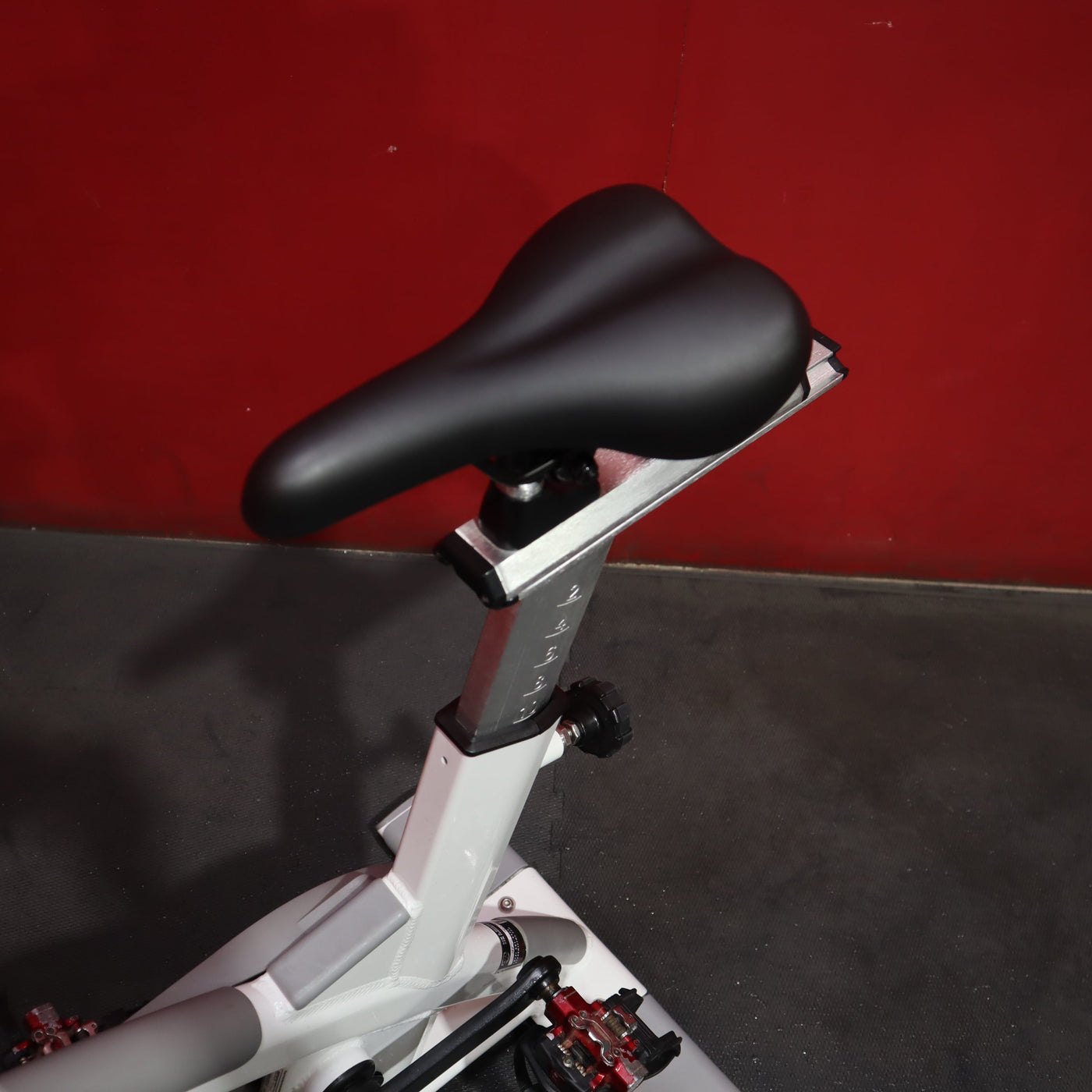 Schwinn AC Performance Plus w/ Carbon Blue Indoor Cycle (Remanufactured)